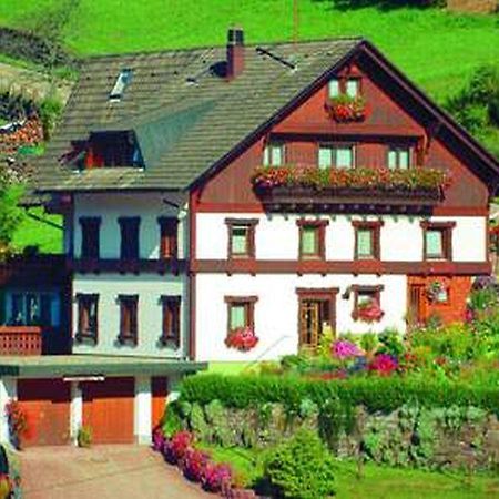 Gaestehaus Heimenberg Bad Rippoldsau-Schapbach エクステリア 写真