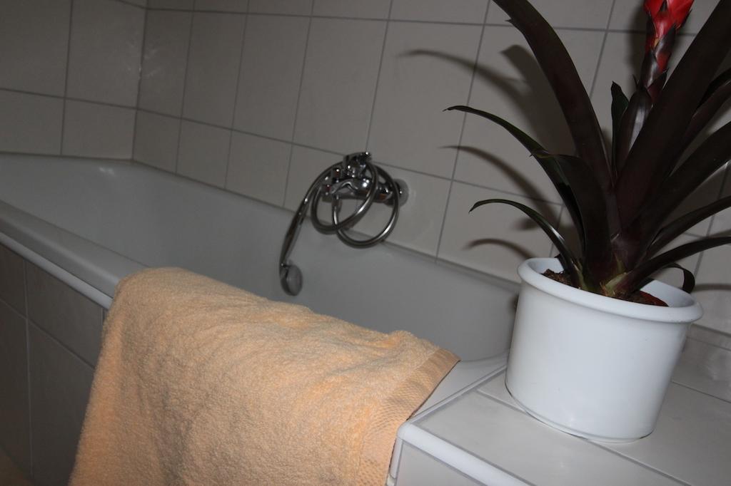 Gaestehaus Heimenberg Bad Rippoldsau-Schapbach エクステリア 写真