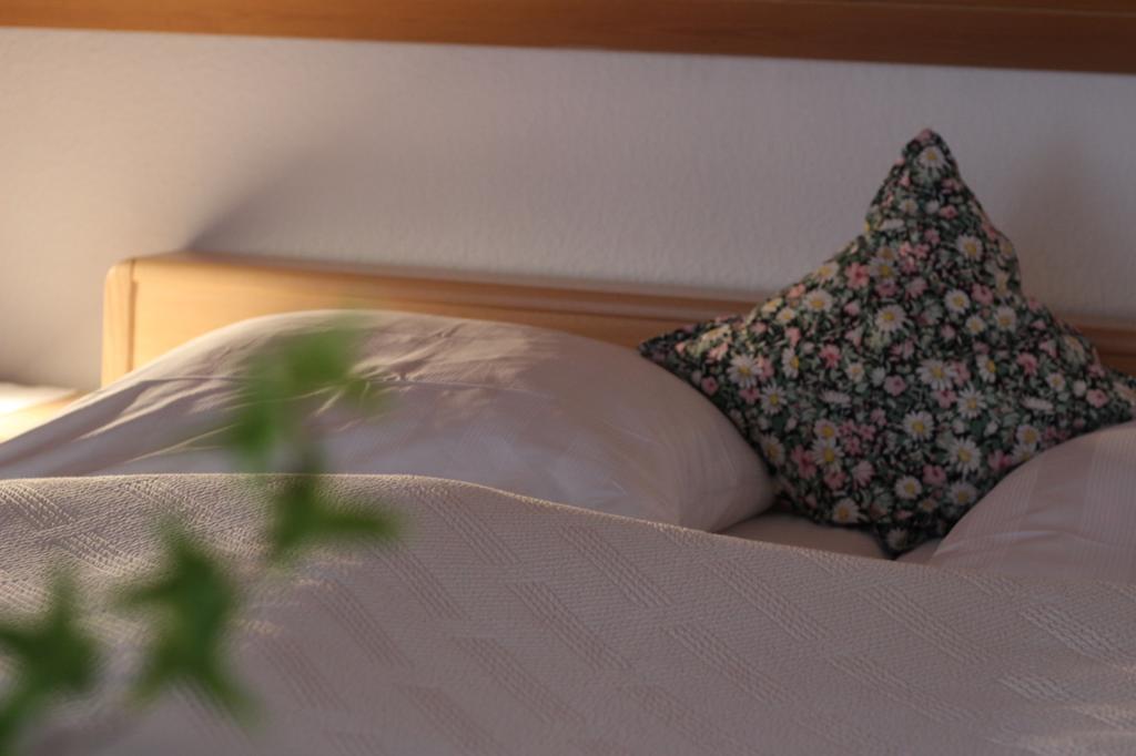 Gaestehaus Heimenberg Bad Rippoldsau-Schapbach エクステリア 写真