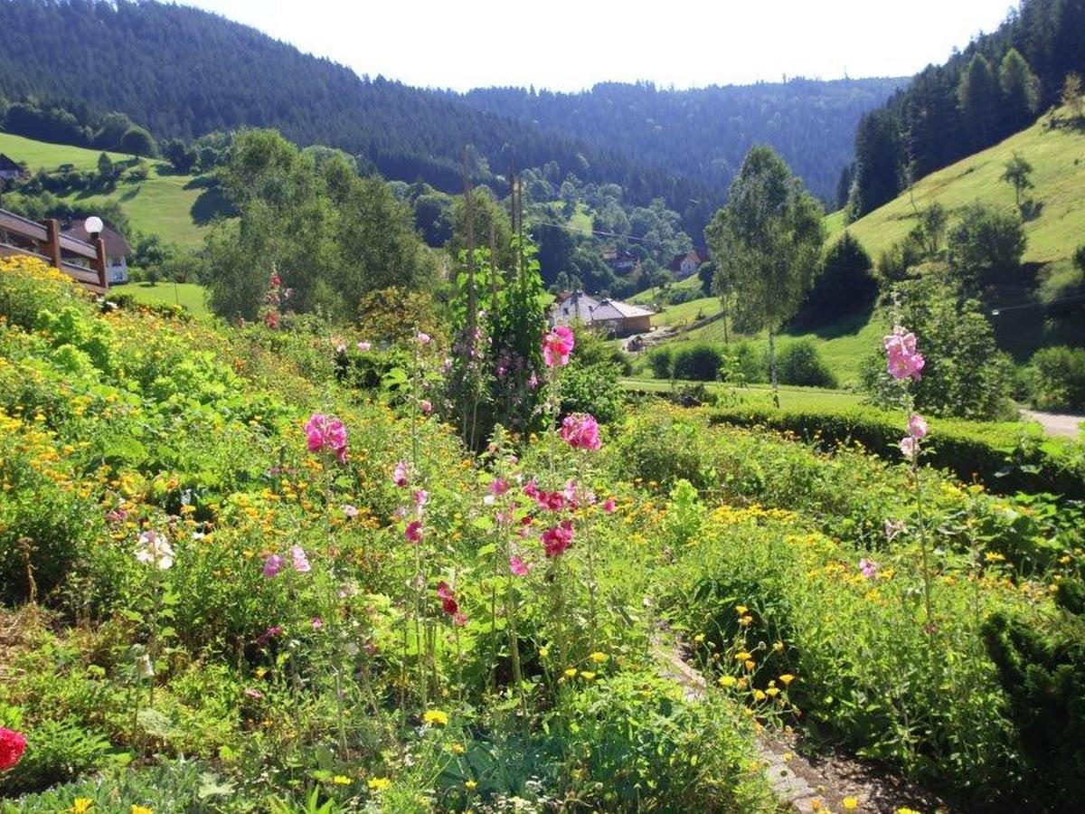 Gaestehaus Heimenberg Bad Rippoldsau-Schapbach エクステリア 写真